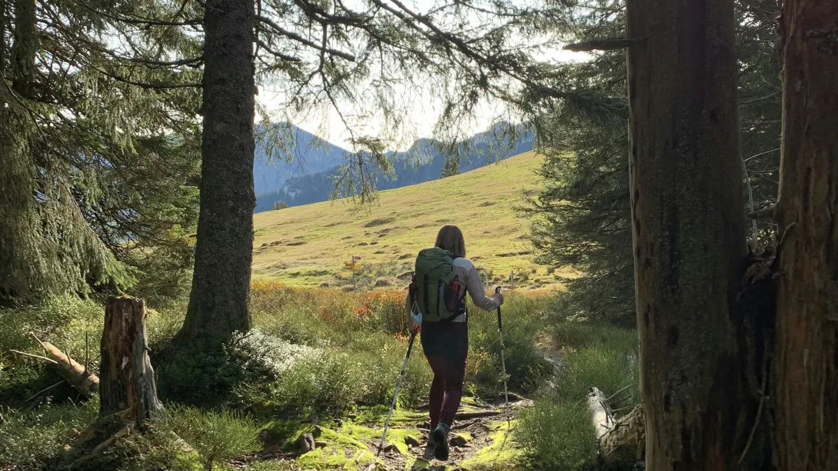 Hiker with backpack walking on forest trail toward sunlit meadow and distant mountains in daytime.