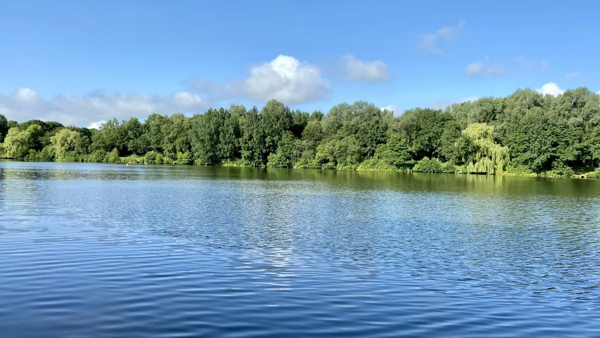 Calm lake with rippling water under a blue sky and green tree line reflected on the surface