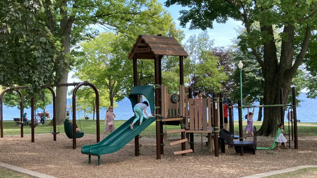 Children playing on a green and brown playground set with slides and swings in a park by the water under trees.
