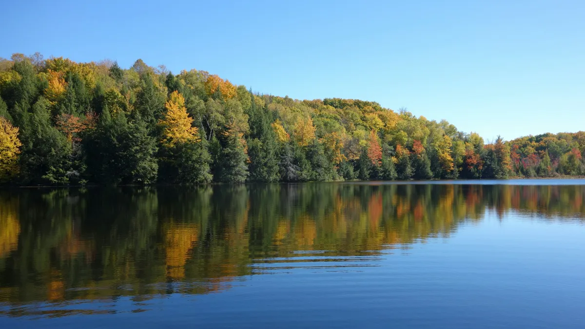Calm lake reflecting colorful autumn trees under a clear blue sky in a peaceful natural setting