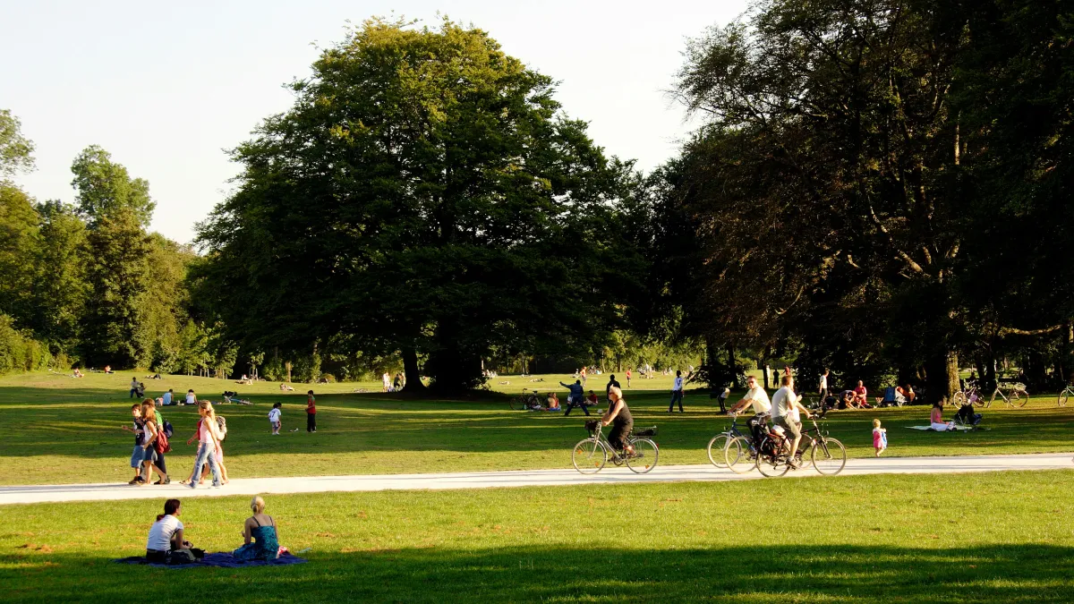 People walking, biking, and relaxing in a sunny park with large trees and green grass on a clear day