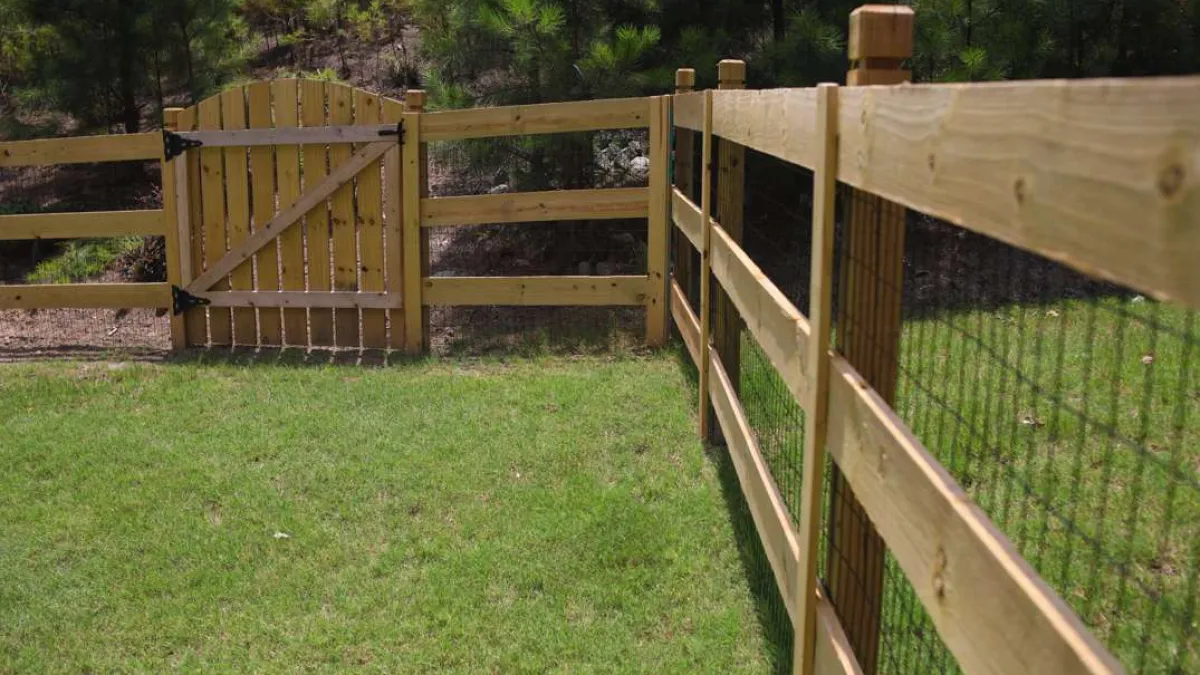 Wooden fence and gate enclosing a green grassy backyard with trees in the background.