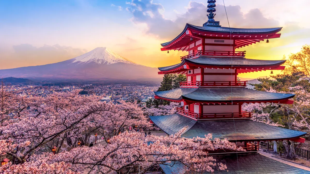 Red temple pagoda with cherry blossoms in full bloom and Mount Fuji in the background at sunset in Japan