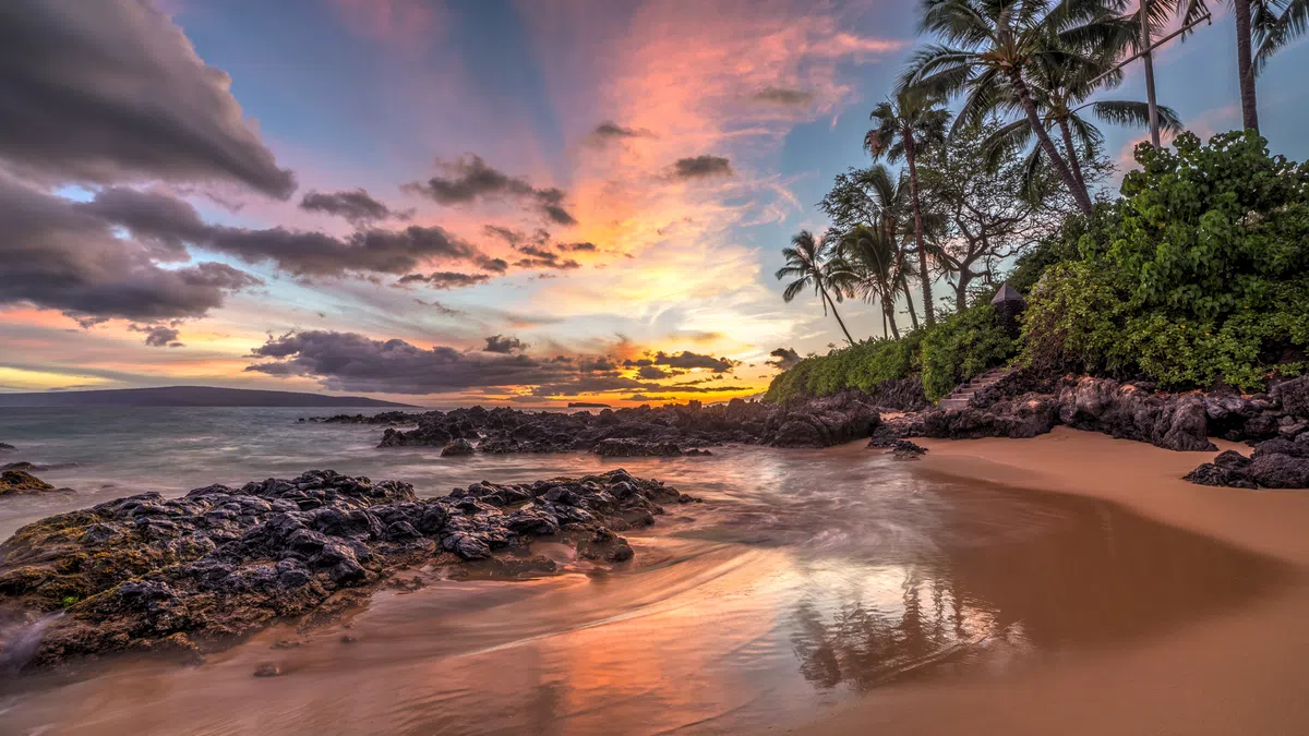 Tropical beach at sunset with palm trees, rocky shoreline, and vibrant sky reflected in wet sand.