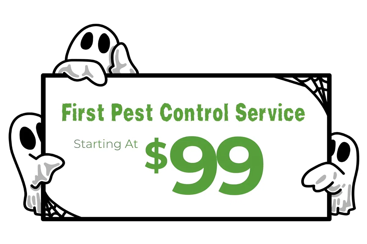 Three ghosts hold a sign advertising first pest control service starting at $99 with spiderweb corners.