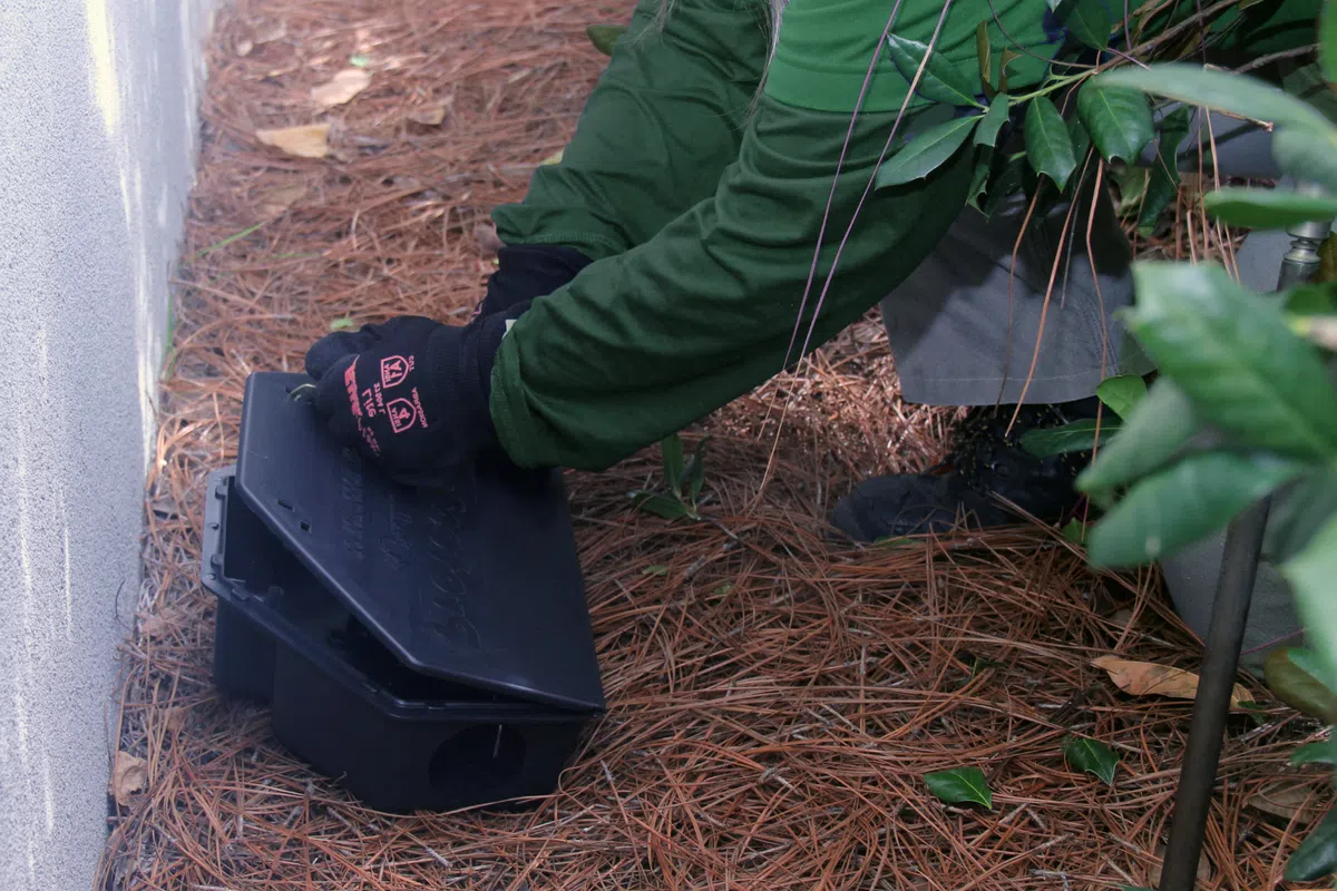Person wearing green sleeves and gloves placing a black rodent bait station outside near building and plants.