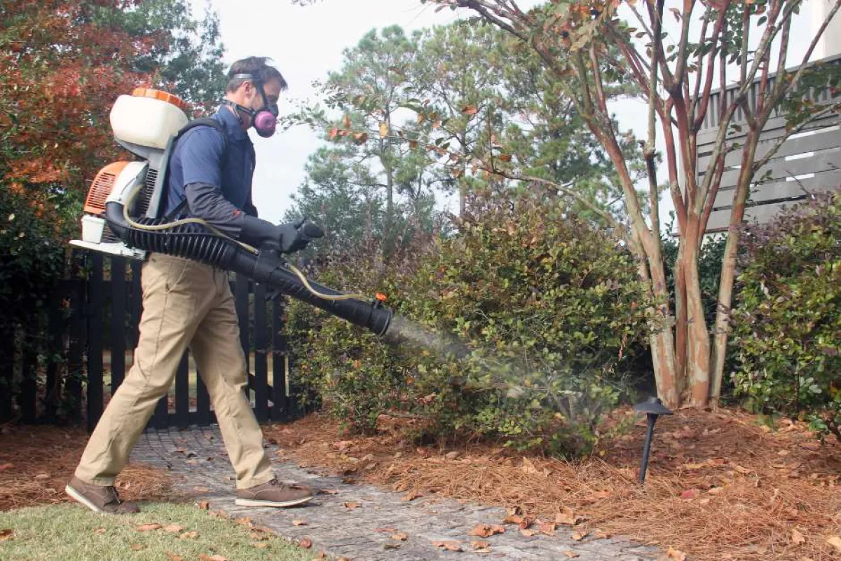 Man wearing protective gear using a backpack leaf blower to clear fallen leaves from a garden path.