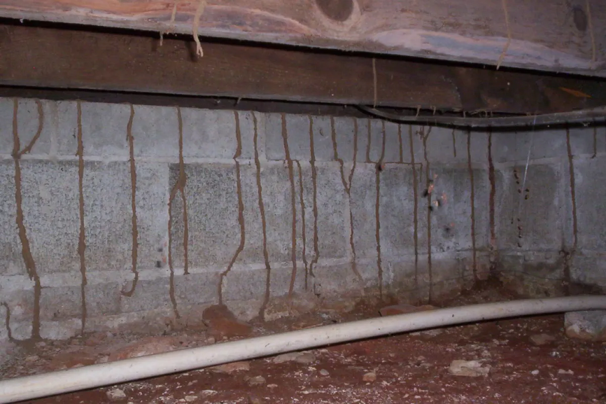 moist Crawl Space Greenville SC