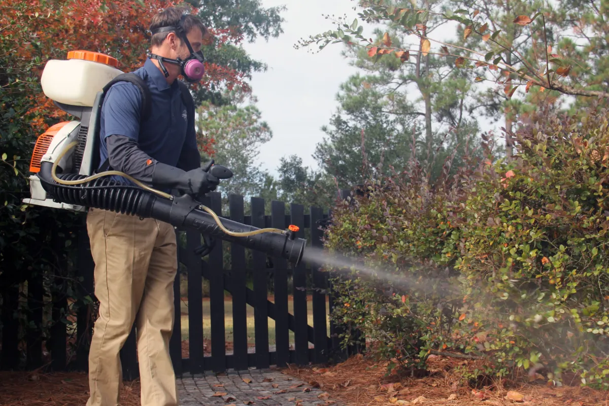 Mosquito Control | Preferred Pest Control