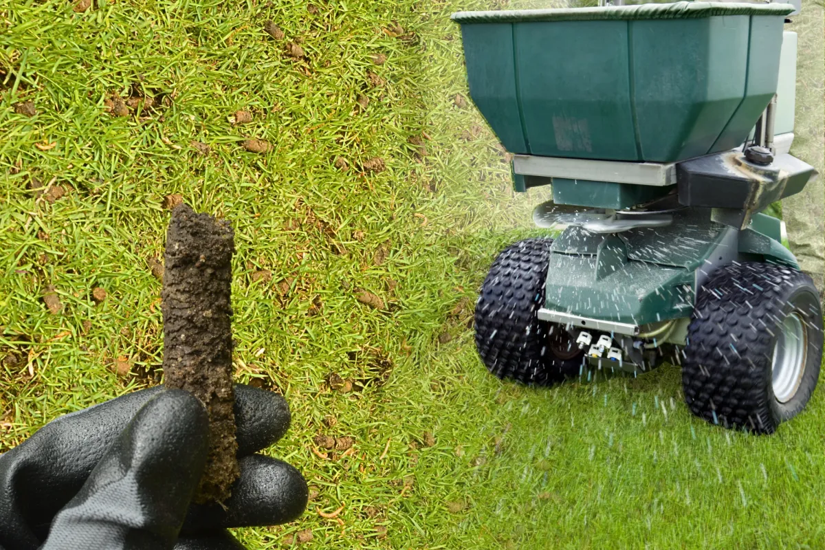 Aeration & Seeding | PestNow