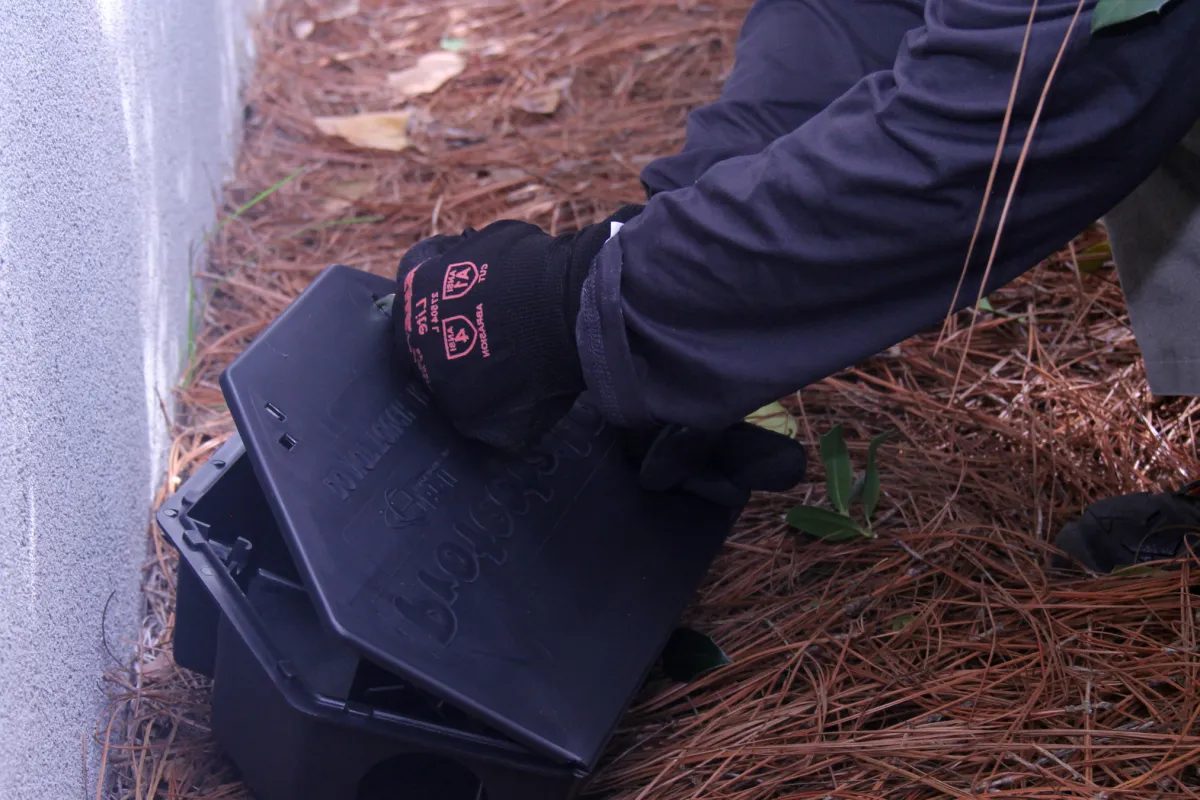 a person holding a black container