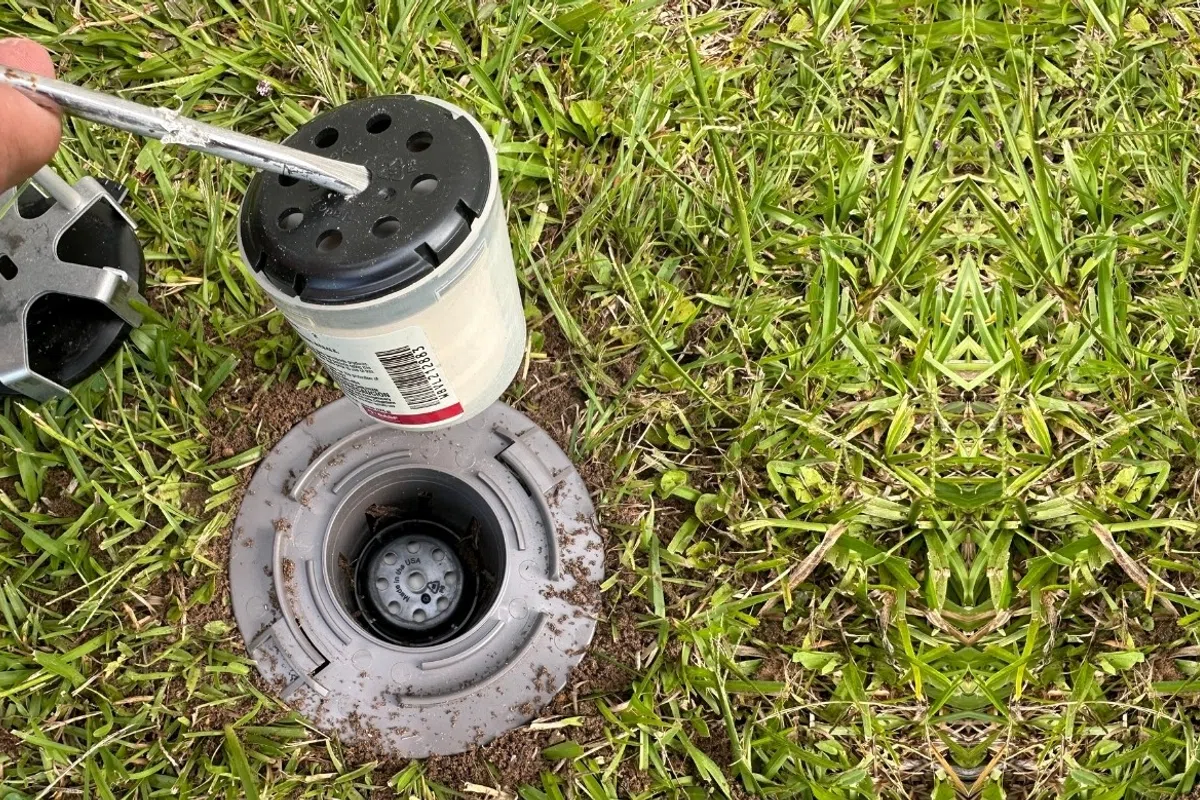 Hand placing termite bait into the termite bait station
