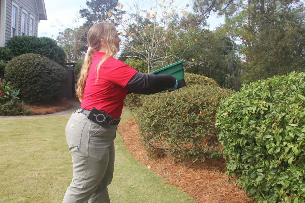 Woman in red shirt trimming bushes in a well-maintained garden beside a house on a sunny day