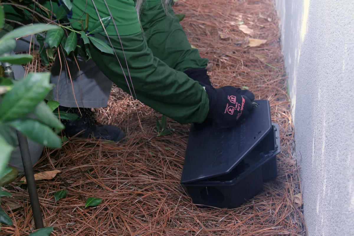 pest control ashburn, va rodent trapping