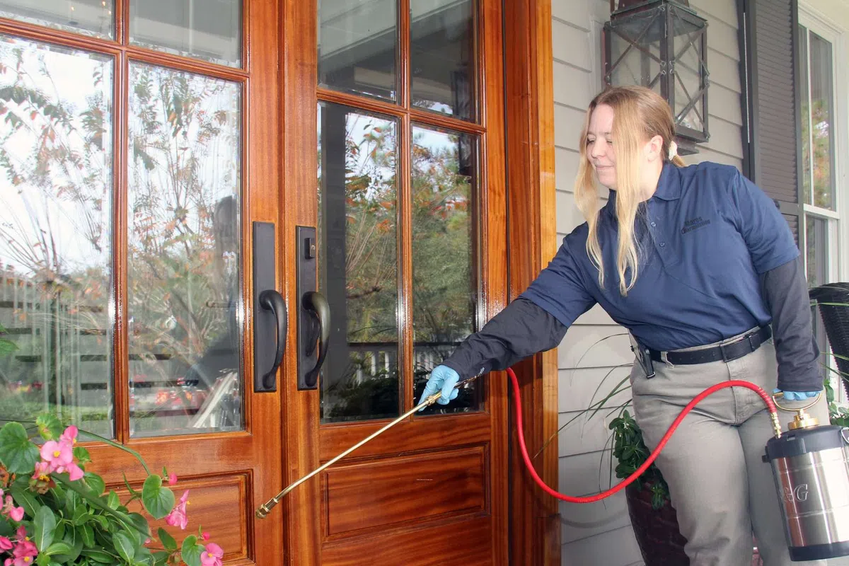 Professional pest control technician spraying insecticide near wooden front door of a house with flowers nearby