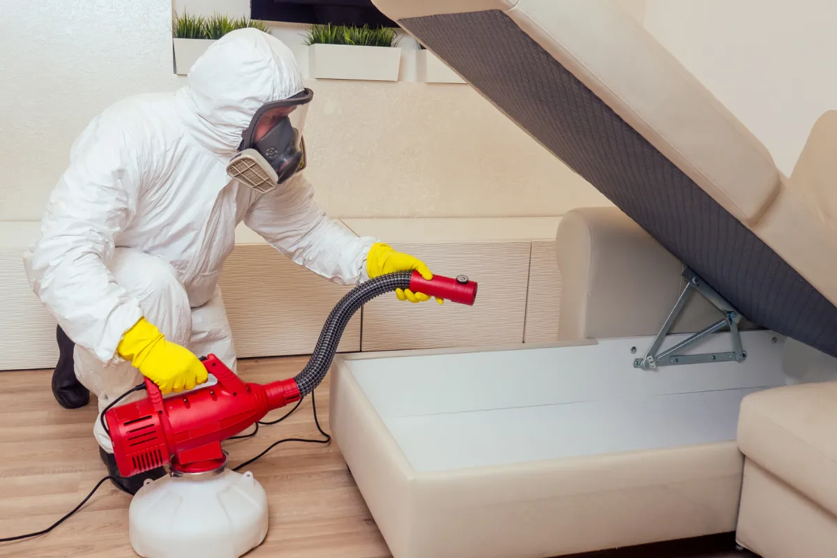 bed bug treatment of furniture