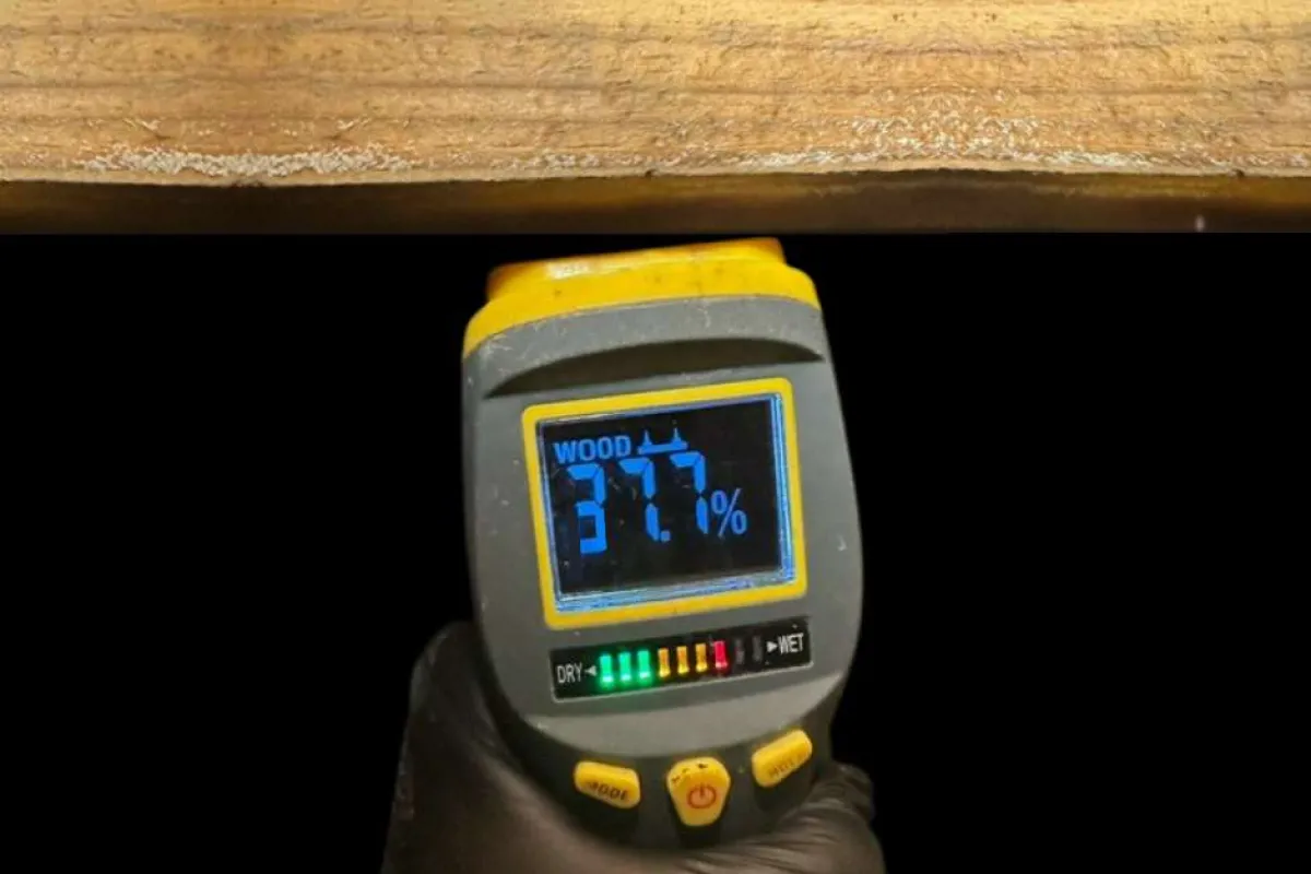 Handheld moisture meter showing 37.7% wood moisture content under a wooden plank.