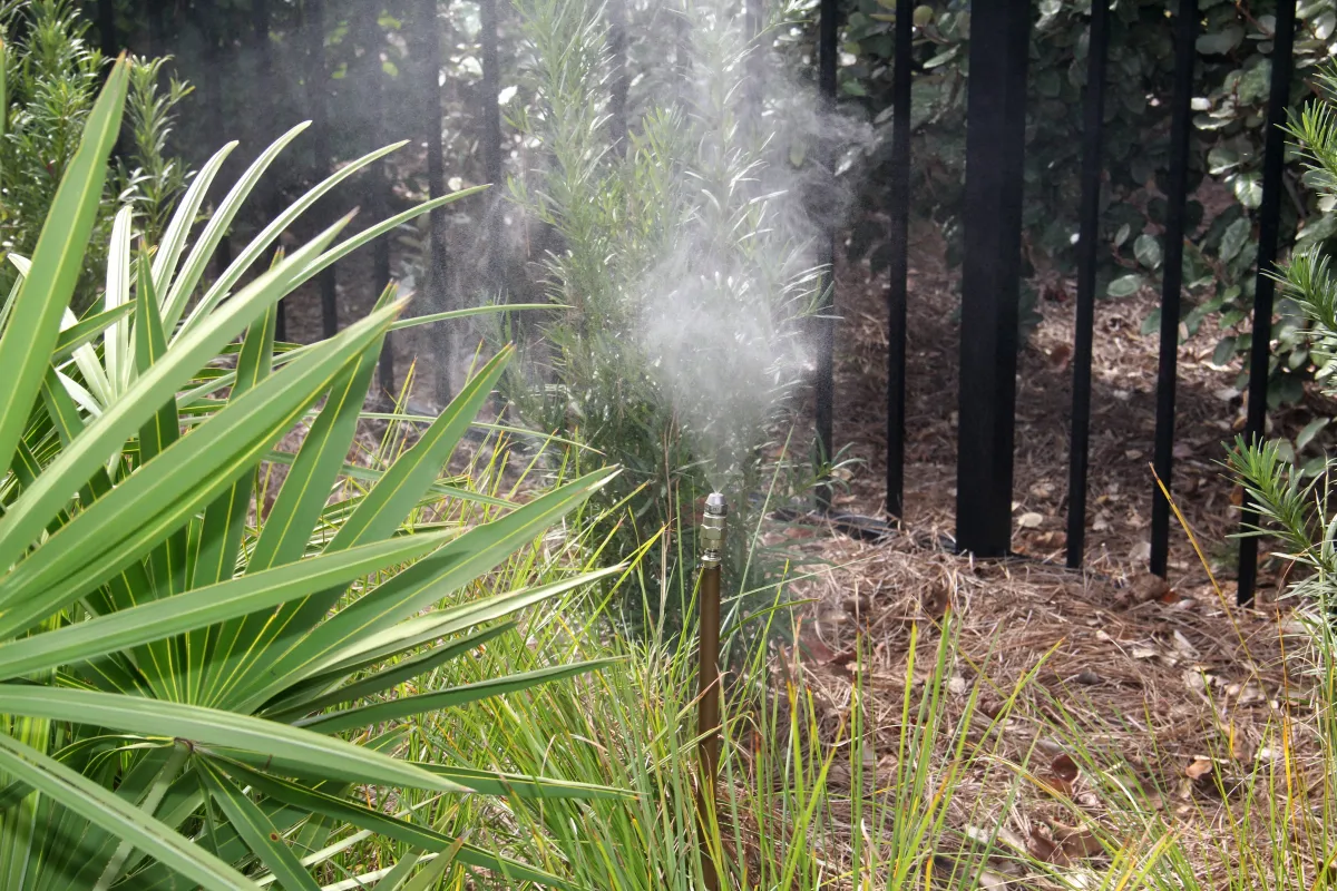 mosquito misting system in Charleston