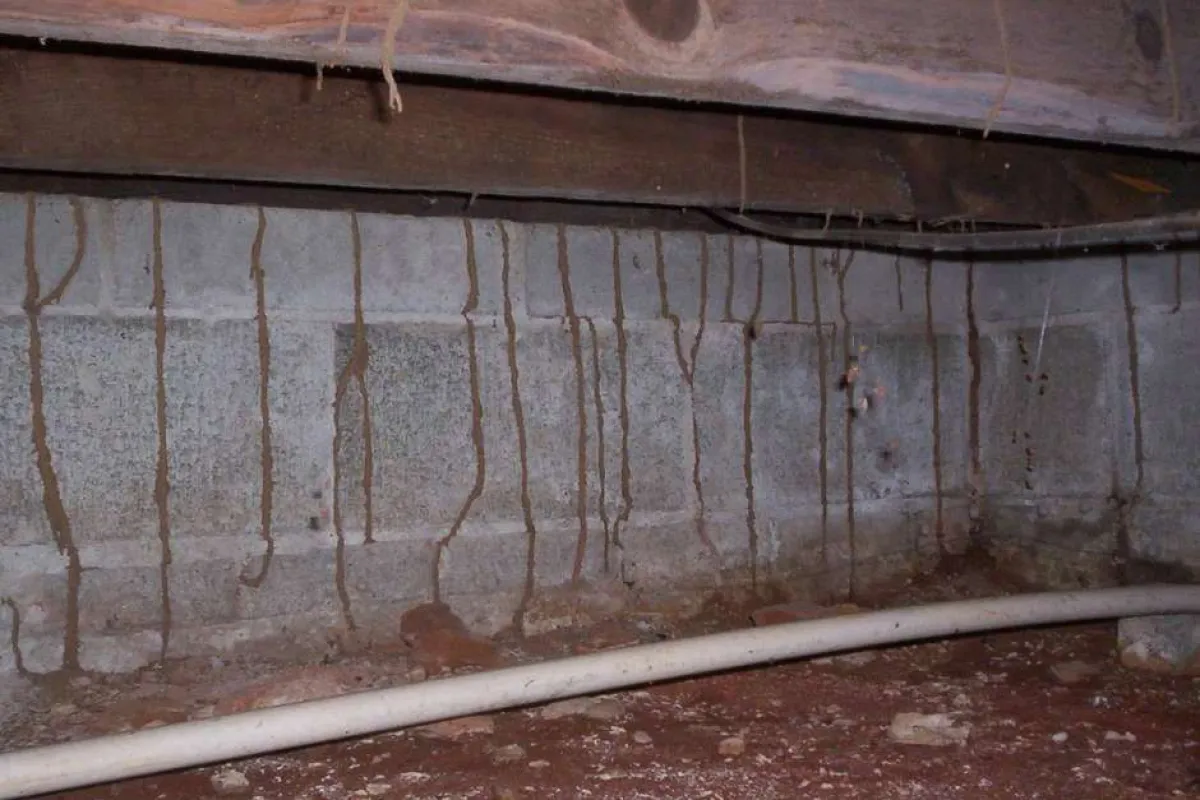Wet stains and water seepage marks on concrete block foundation wall in a damp crawl space.