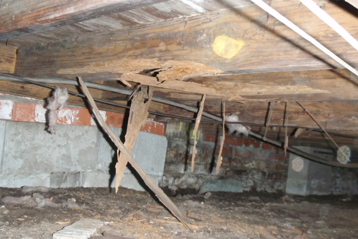 Charlotte crawl space moisture damage
