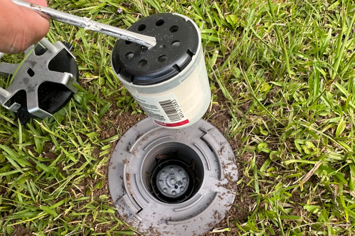 Hand removing a sprinkler filter from a lawn sprinkler head surrounded by green grass and soil.