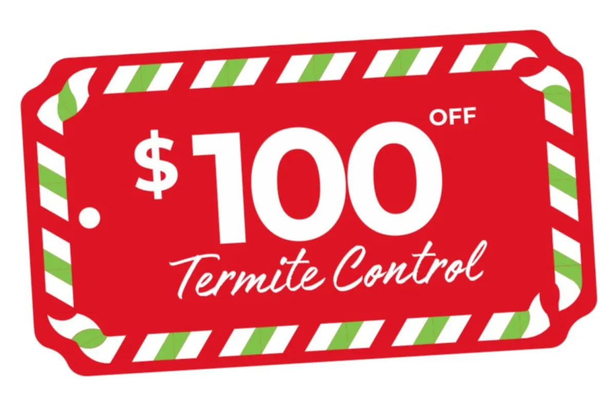 Red coupon offering $100 off termite control services with green and white striped border.