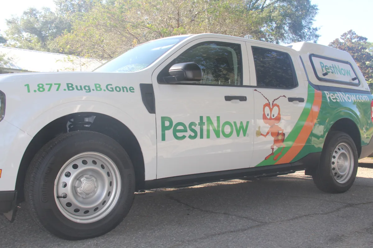 White PestNow service truck with green and orange branding parked outdoors under trees