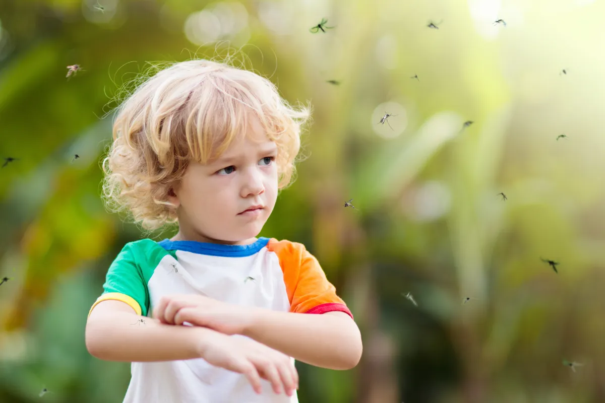 child with osquitoes