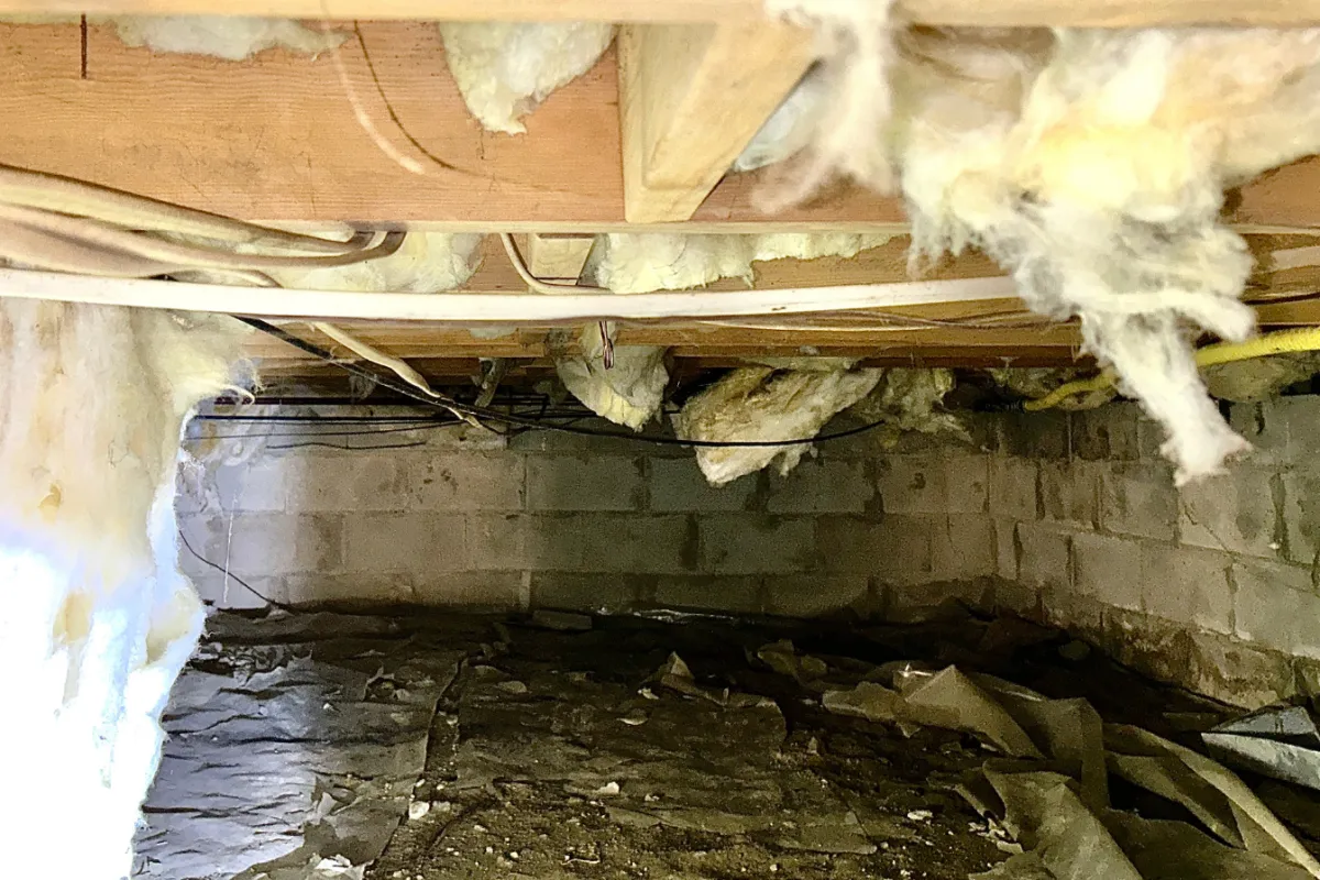 Damaged insulation hanging from ceiling in a dark, damp basement with concrete block walls and debris on the floor