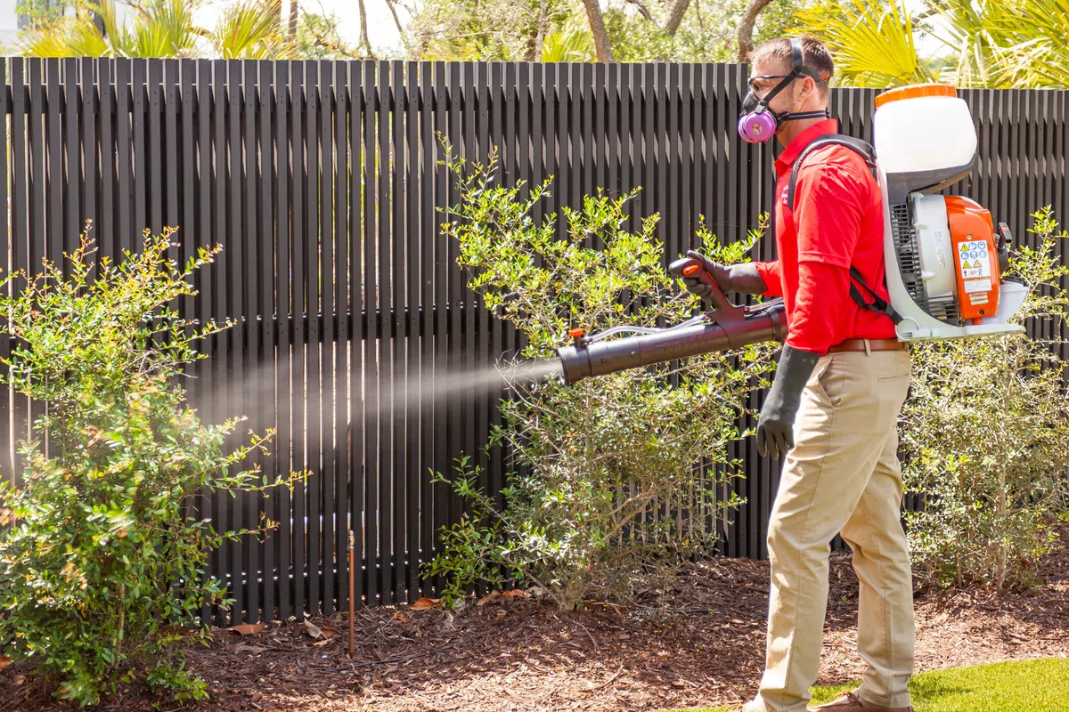 Mosquito Control | Palmetto Exterminators