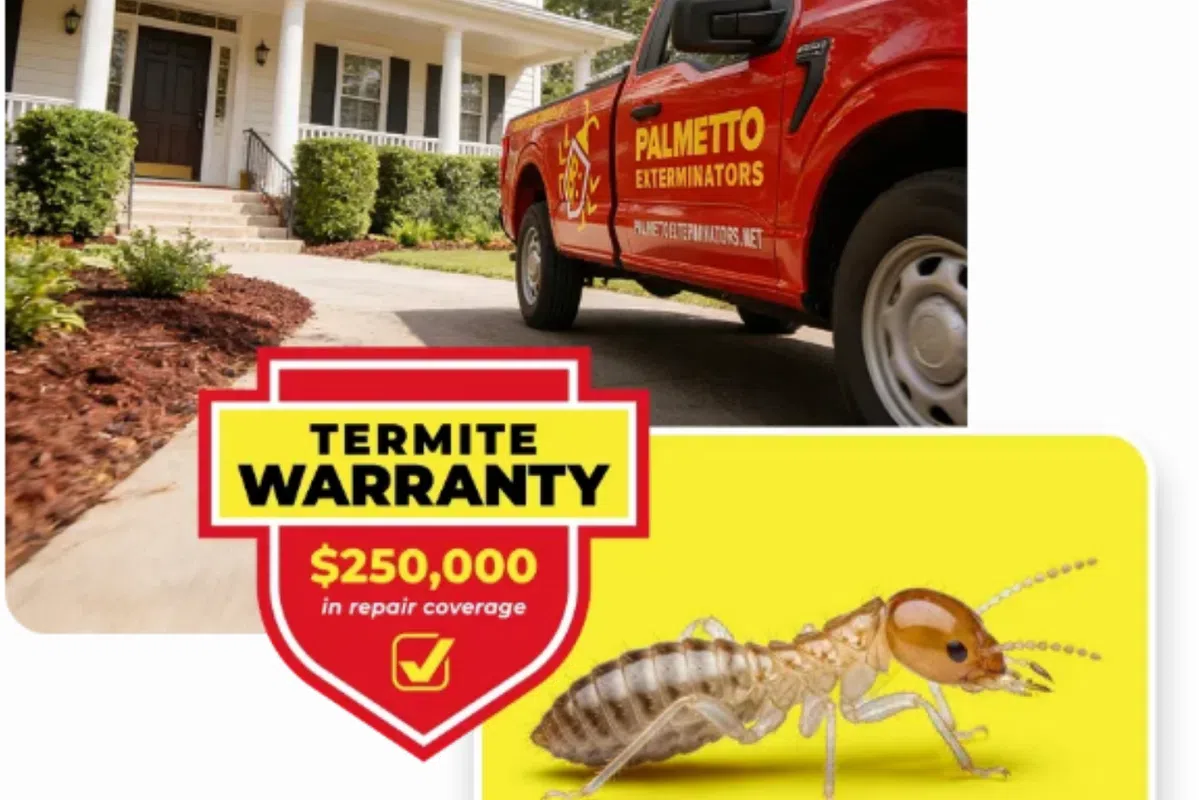 Red Palmetto Exterminators truck parked outside a house with termite warranty $250,000 coverage badge and termite close-up.