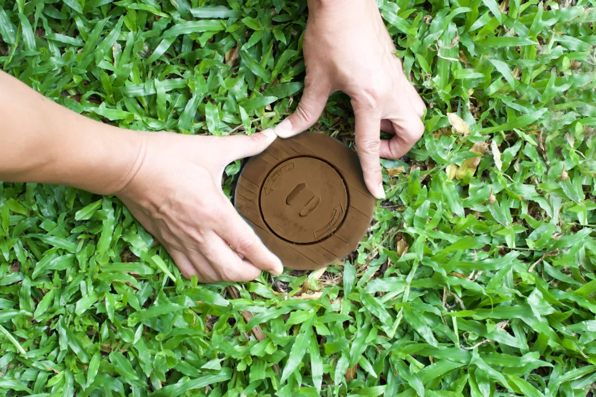 checking a termite bait station