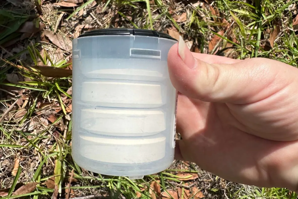 Hand holding a translucent plastic container in grass with sunlight and dry leaves around.