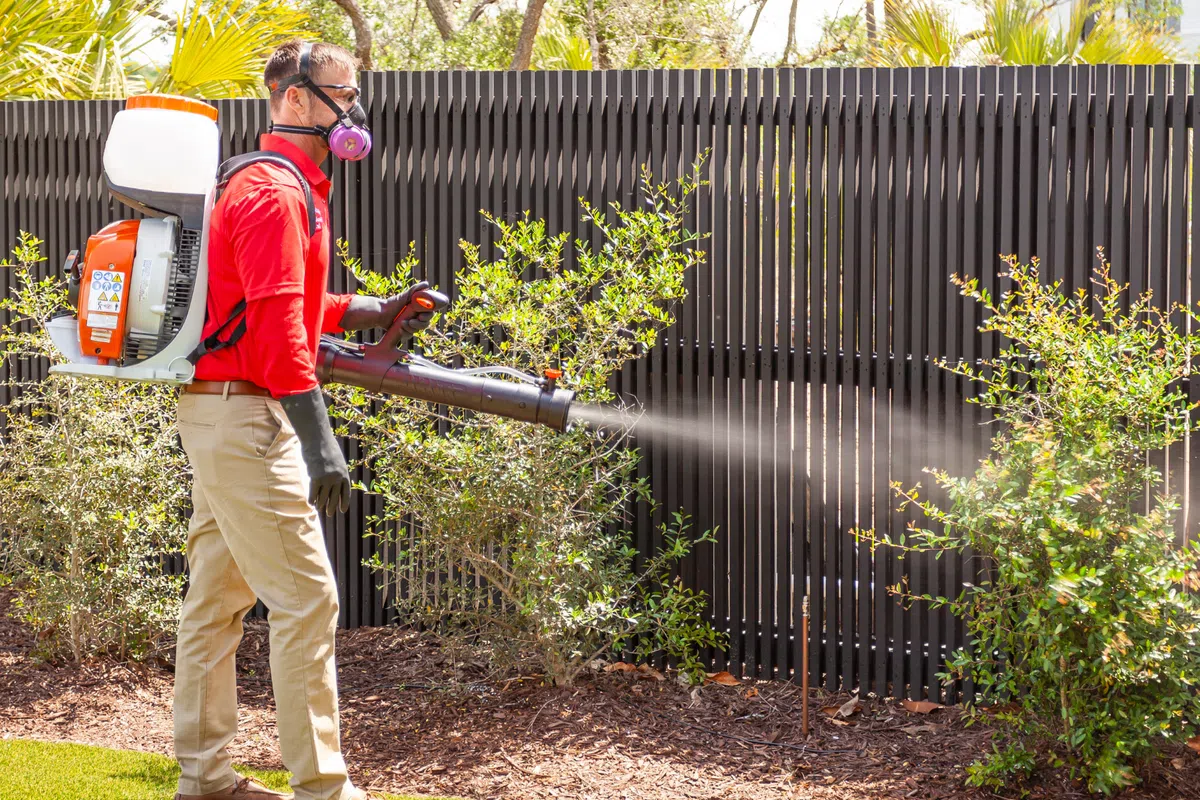 Palmetto employee wearing protective mask spraying mosquito pesticide on bushes of a Dawsonville property.