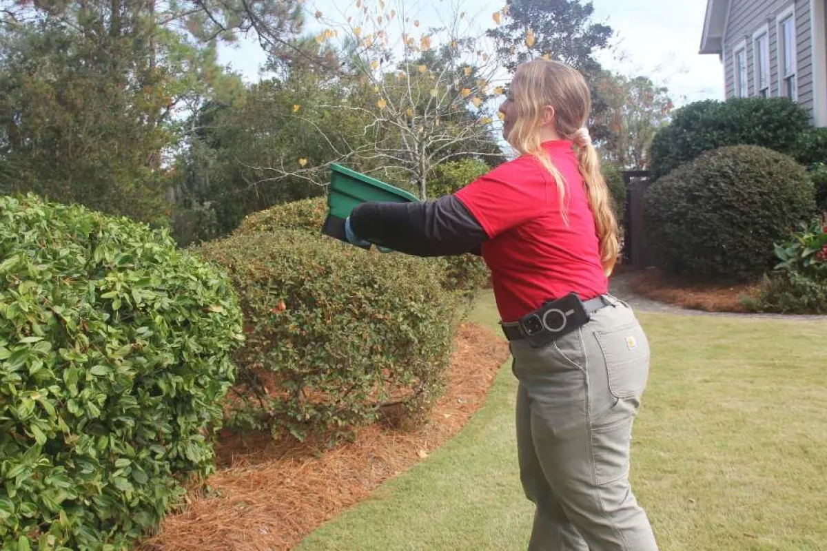 Woman in red shirt trimming or tending bushes in a landscaped garden outside a house on a sunny day.