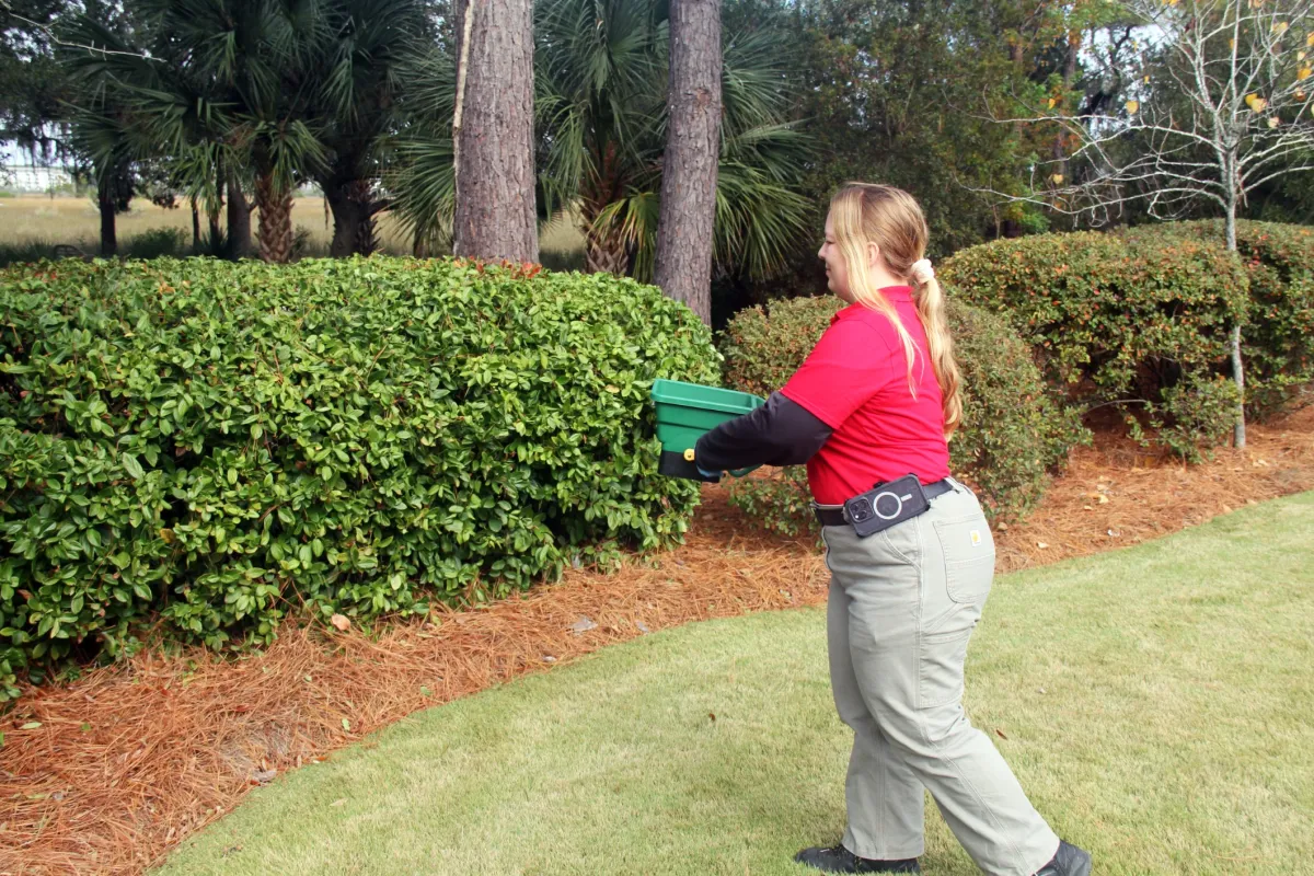 Pest Control West Columbia, SC