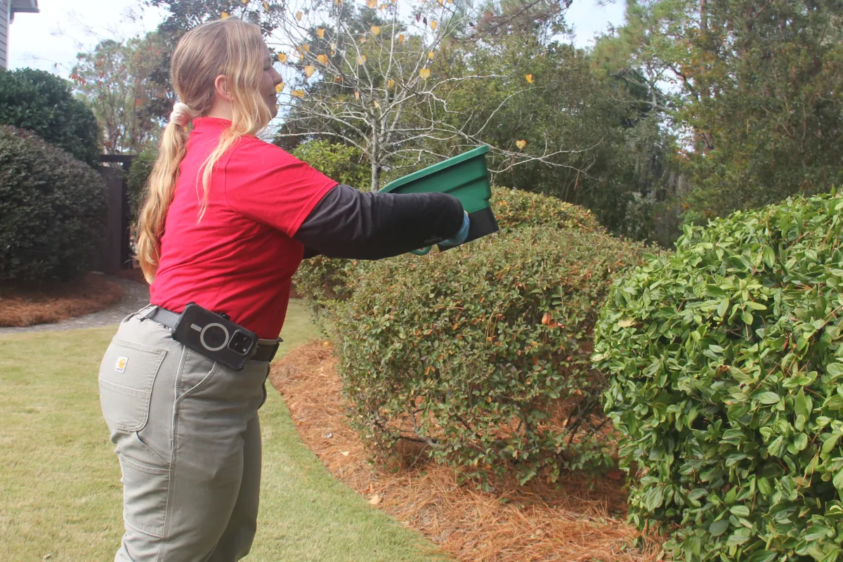 Pest Control Myrtle Beach