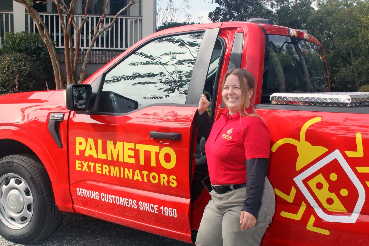 Pest Control summerville, sc