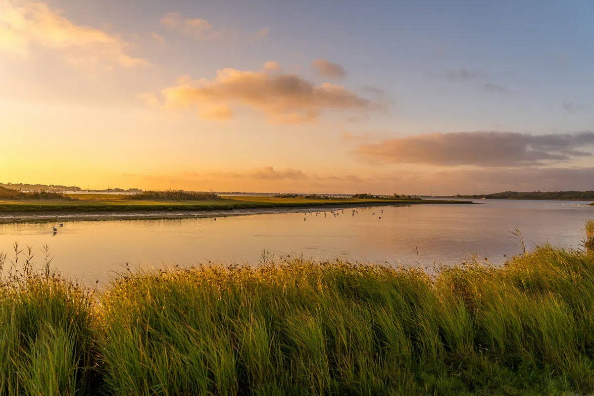 Marshland in Charleston SC