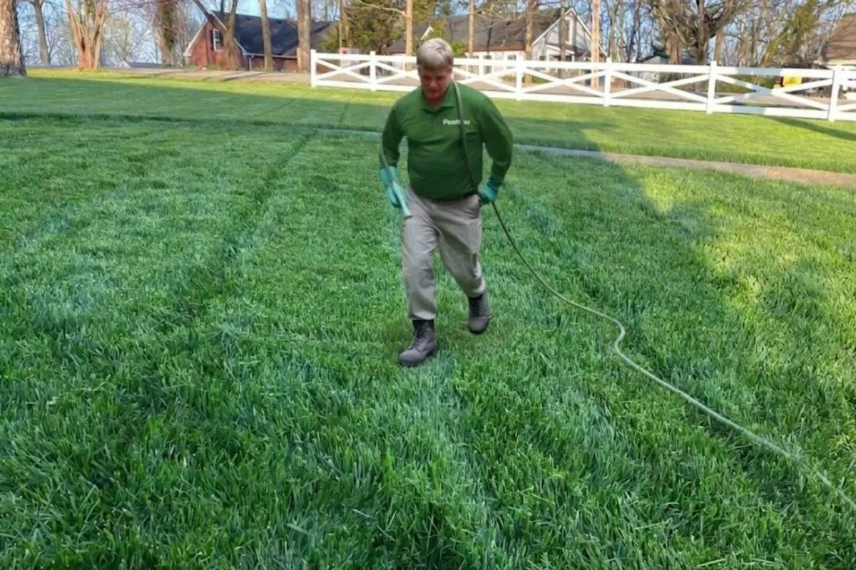 Person spraying green lawn with hose in a suburban yard during daylight with white fence and trees in background
