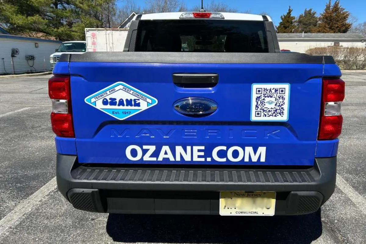 Rear view of blue Ford Maverick truck with Ozane Pest Control logo, website, and QR code on tailgate in parking lot.