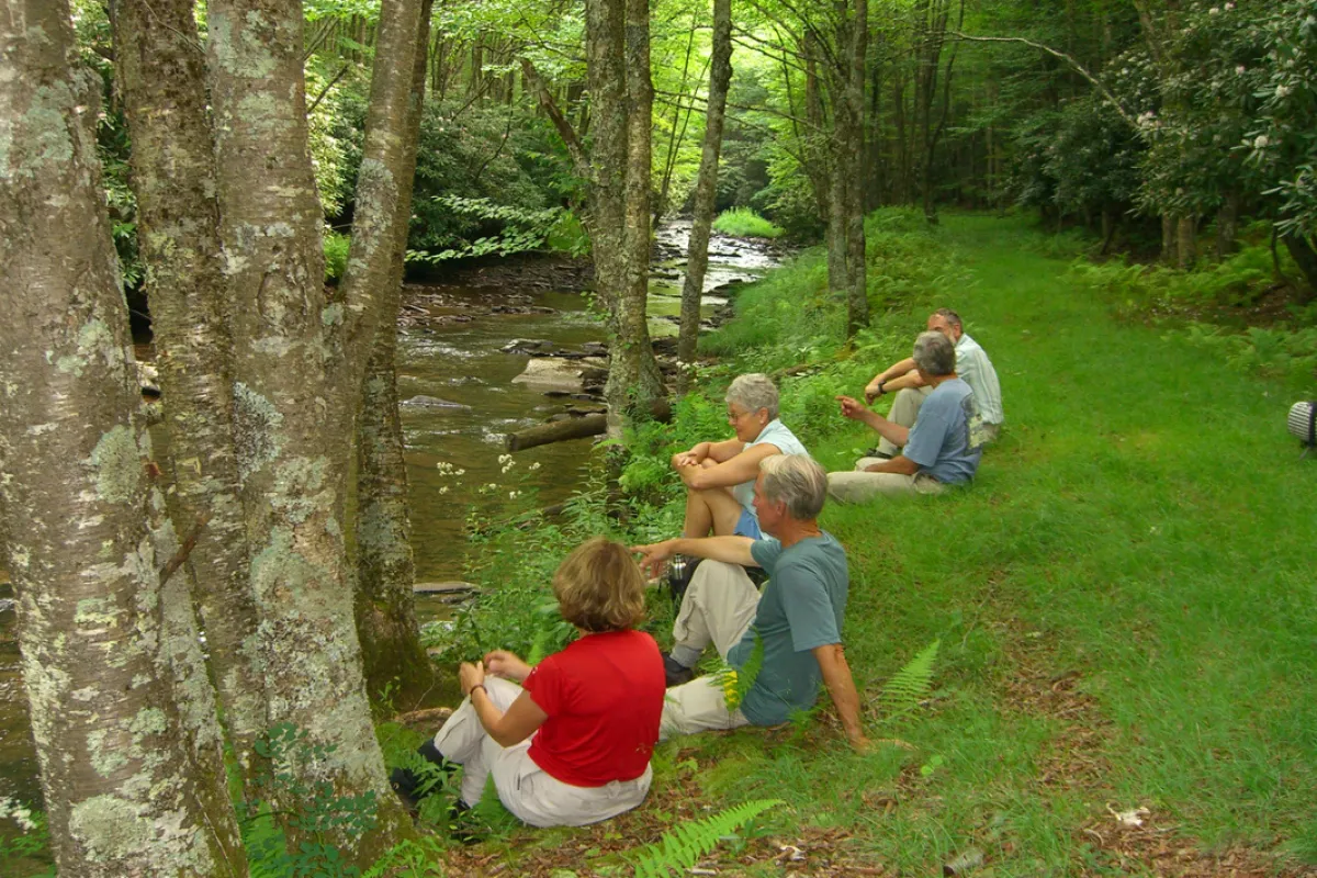 a group of people sitting around a small pond in the woods