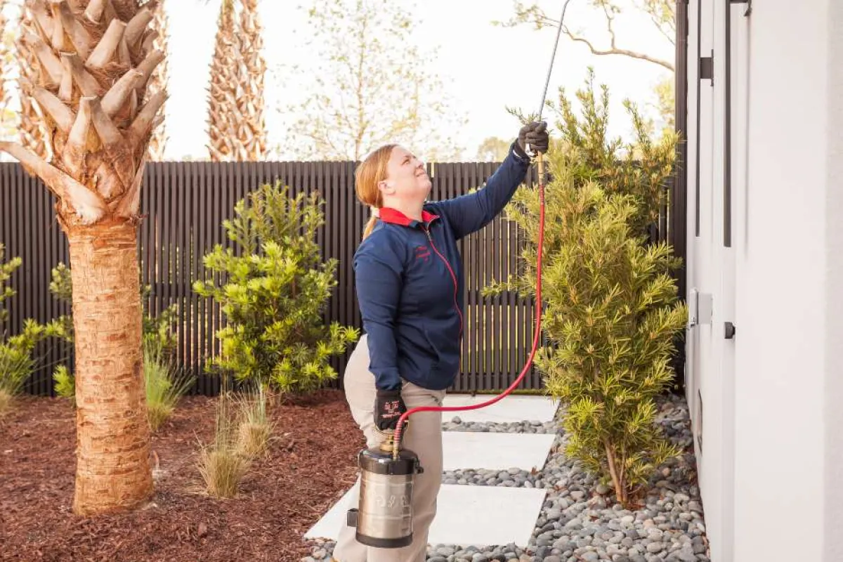 Professional pest control technician spraying exterior wall of a house with pesticide spray in a landscaped garden