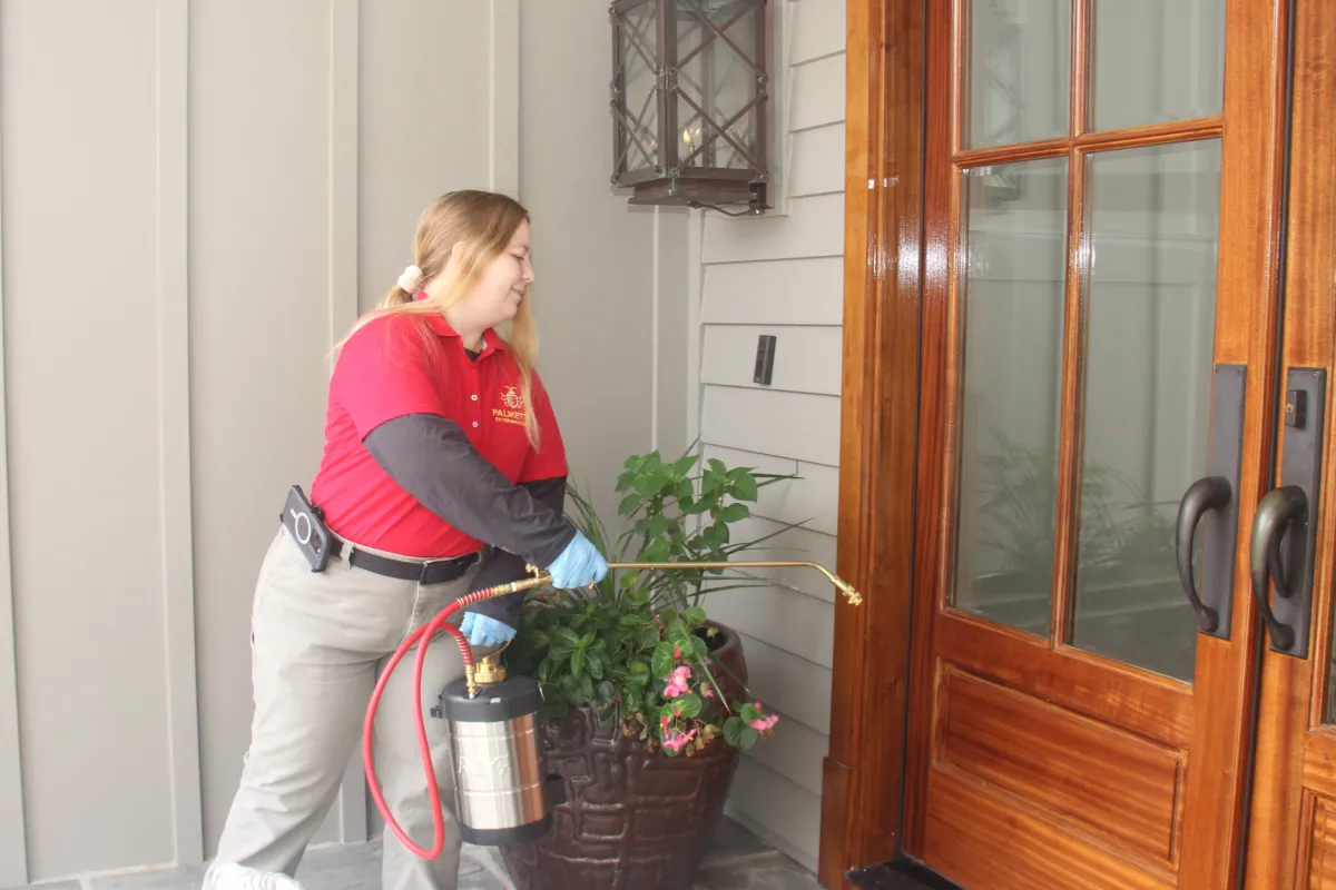 pest control Gastonia, NC