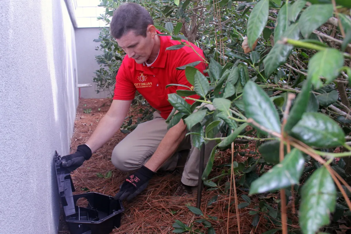 Hilton Head Pest Control