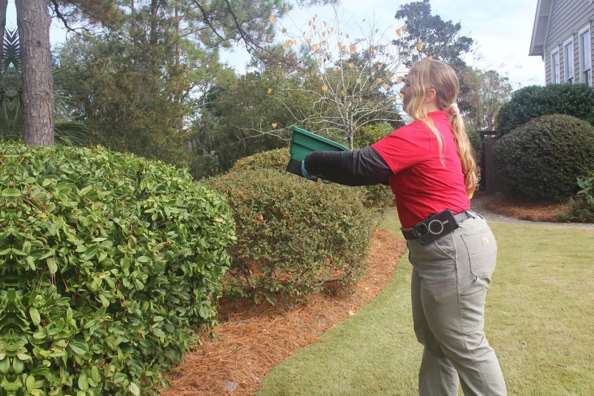 Woman in red shirt applying exterior pest control around bushes next to a house