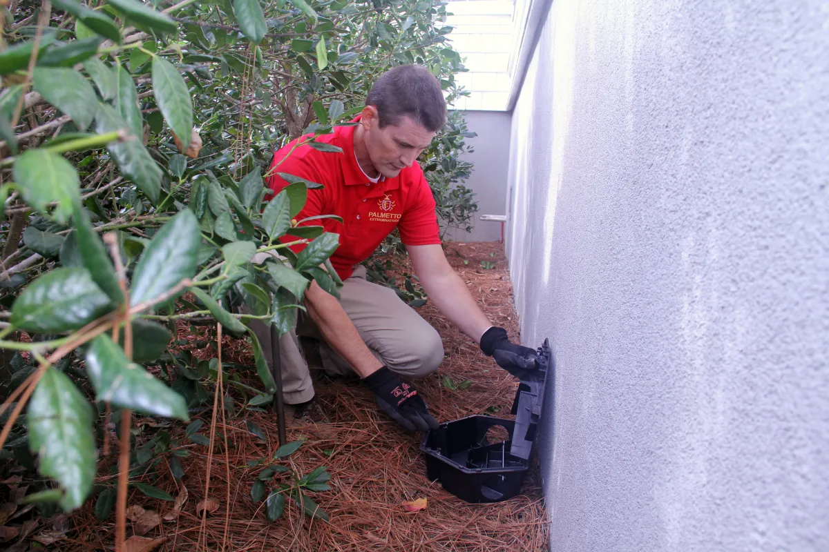 a man squatting next to a plant