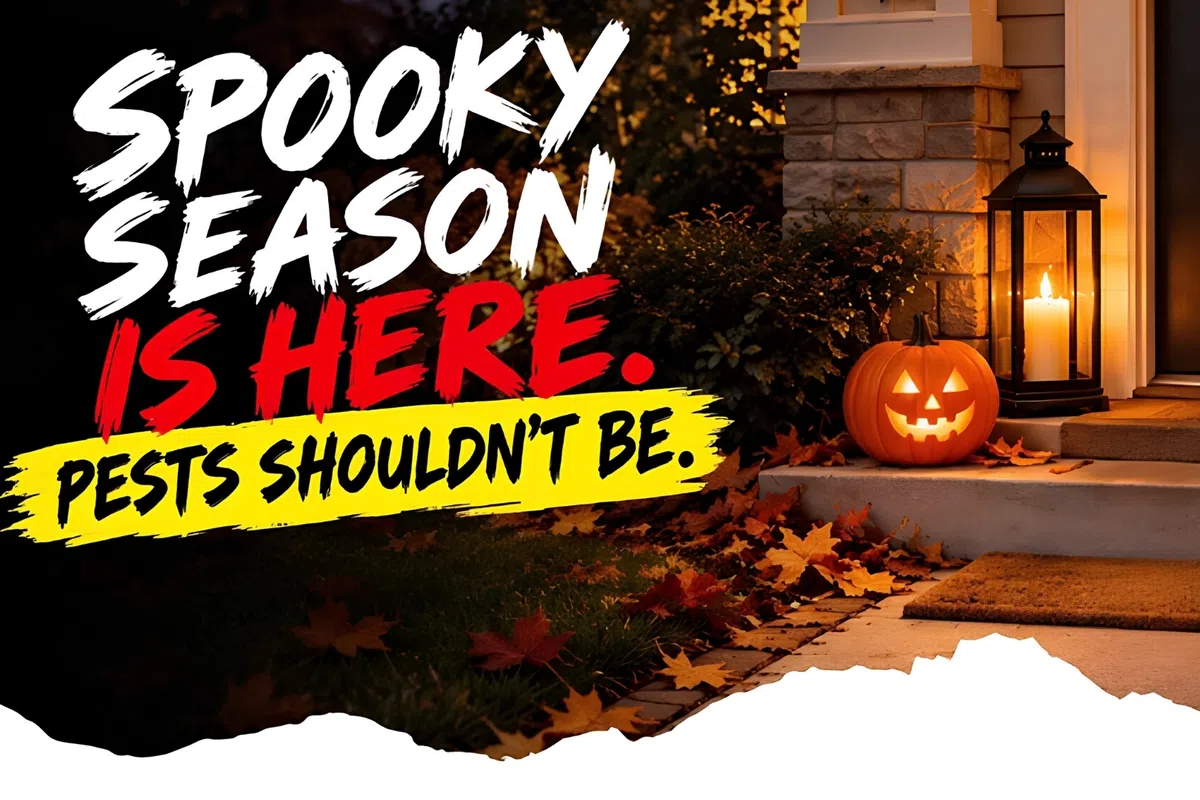 Halloween-themed front porch with jack-o'-lantern, lit lantern, autumn leaves, and pest control warning text.