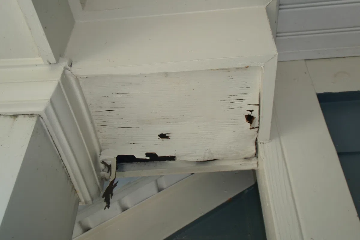 Close-up of termite damage on wooden porch beam in Crofton