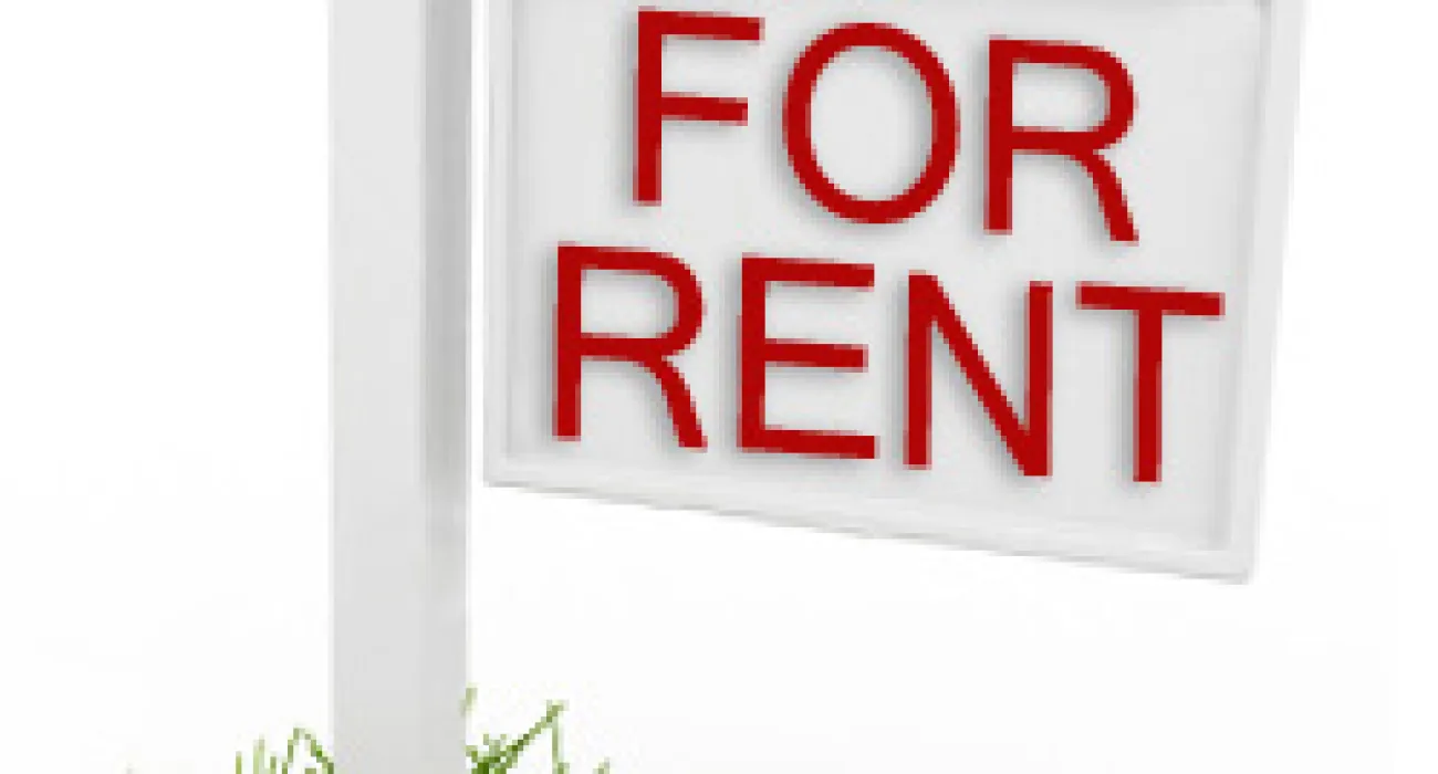 Is It Time To Rent A Friend?